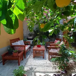 House Avola